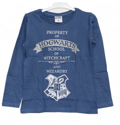 Harry Potter Μακρυμάνικο μπλουζάκι για κορίτσια (HP 52 02 025/026) - Μπλουζάκια Μακρυμάνικα (μακό)