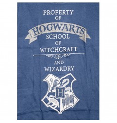 Harry Potter Μακρυμάνικο μπλουζάκι για κορίτσια (HP 52 02 025/026)