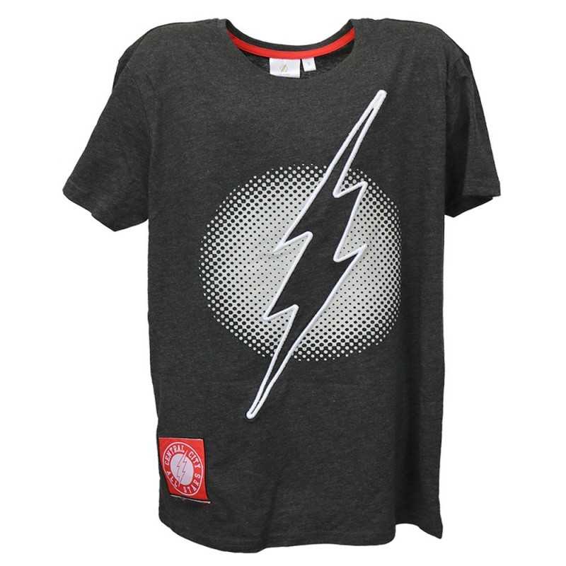 The Flash Ανδρικό Κοντομάνικο μπλουζάκι (ER3565) The Flash Ανδρικό Κοντομάνικο μπλουζάκι (ER3565)