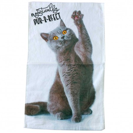Παιδική Πετσέτα προσώπου CAT (30x50εκ.) (TNL191342-R) - Πετσέτες προσώπου / νηπιαγωγείου