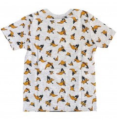 Looney Tunes Κοντομάνικο μπλουζάκι για αγόρια (WB 52 02 557/558 GREY)