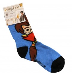 Harry Potter Παιδικές Κάλτσες Για αγόρια (HP 881-348Β) - Κάλτσες κανονικές αγόρι