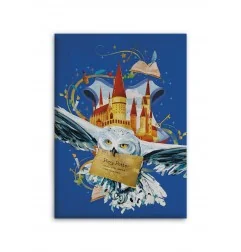 Harry Potter Παιδική Κουβέρτα Καναπέ Fleece 100Χ140εκ. (AYM-009HP-PF) - Κουβέρτες