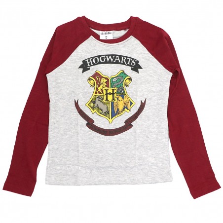 Harry Potter Παιδικό Μακρυμάνικο μπλουζάκι για αγόρια (HP 52 02 008/027 Grey) - Μπλουζάκια Μακρυμάνικα (μακό)