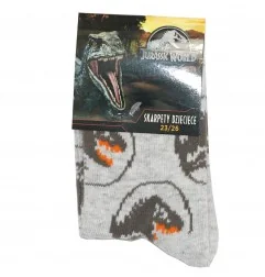 Jurassic World Παιδικές Κάλτσες Για αγόρια SINGLE PACK (JW 52 34 061 SINGLE) - Κάλτσες κανονικές αγόρι