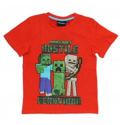 Minecraft Κοντομάνικο Μπλουζάκι Για αγόρια (FKC50873 -114C) - Κοντομάνικα μπλουζάκια