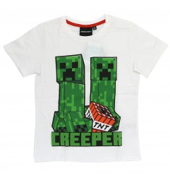 Minecraft Κοντομάνικο Μπλουζάκι Για αγόρια (FKC50874 -107A) - Κοντομάνικα μπλουζάκια
