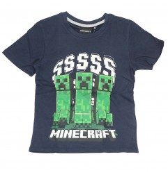 Minecraft Κοντομάνικο Μπλουζάκι Για αγόρια (FKC50872 -110B) - Κοντομάνικα μπλουζάκια