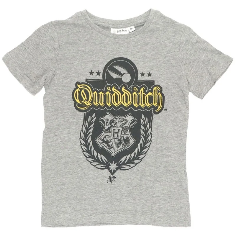 Harry Potter κοντομάνικο μπλουζάκι για αγόρια (EV1166 grey) Harry Potter κοντομάνικο μπλουζάκι για αγόρια (EV1166 grey)