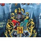 Harry Potter κουβέρτα fleece 100x140εκ. (AYM-086HP-PF)