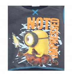 Minions Παιδική εποχιακή μπλούζα Φούτερ (PH1226A)