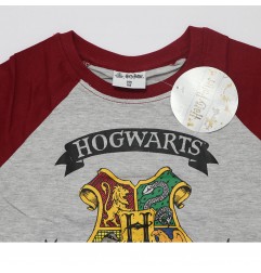 Harry Potter Παιδικό Μακρυμάνικο μπλουζάκι για αγόρια (HP 52 02 008/027 Grey)