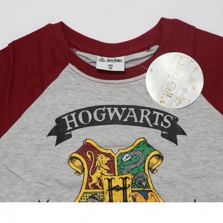 Harry Potter Παιδικό Μακρυμάνικο μπλουζάκι για αγόρια (HP 52 02 008/027 Grey)
