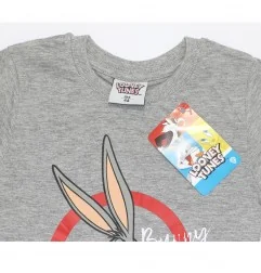 Looney Tunes Κοντομάνικο μπλουζάκι για αγόρια (WB 52 02 607 grey)