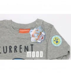 Paw Patrol Κοντομάνικο μπλουζάκι για αγόρια (PAW 52 02 1672 grey)