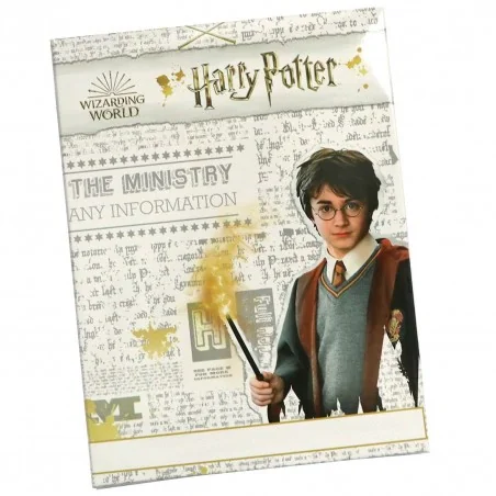 Harry Potter Καλοκαιρινή Πιτζάμα Για Κορίτσια (EV2081 grey)
