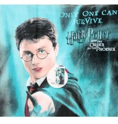 Harry Potter Βαμβακερή Πετσέτα θαλάσσης 70x140εκ. (HP224004-R)