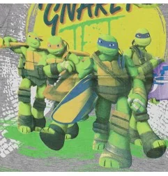 Ninja Turtles Κοντομάνικο μπλουζάκι για αγόρια (NIN 52 02 029 grey)