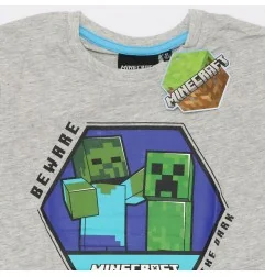 Minecraft Κοντομάνικο Μπλουζάκι Για αγόρια (FKC50872 -113B)