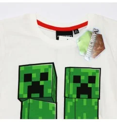 Minecraft Κοντομάνικο Μπλουζάκι Για αγόρια (FKC50874 -107A) - Κοντομάνικα μπλουζάκια