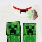 Minecraft Κοντομάνικο Μπλουζάκι Για αγόρια (FKC50874 -107A)