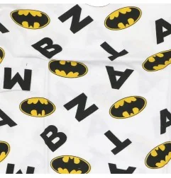 DC Comics Batman Παιδικό Κοντομάνικο Μπλουζάκι Για Αγόρια (BAT 52 02 199)