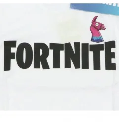 Fortnite Κοντομάνικο Μπλουζάκι Για αγόρια (FORT-3-975)