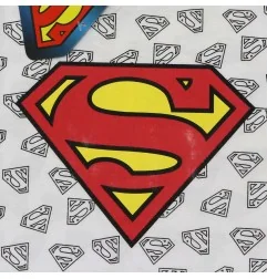 DC Comics Superman Κοντομάνικο Μπλουζάκι Για Αγόρια (SUP 52 02 137A)