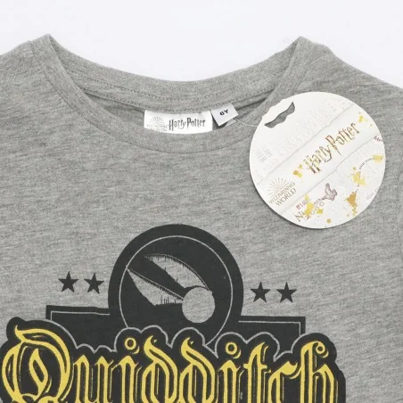 Harry Potter κοντομάνικο μπλουζάκι για αγόρια (EV1166 grey) Harry Potter κοντομάνικο μπλουζάκι για αγόρια (EV1166 grey)