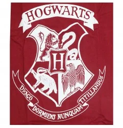 Harry Potter Παιδικό Μακρυμάνικο μπλουζάκι για κορίτσια (HP 52 02 031/191)