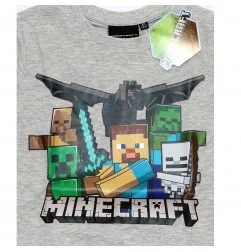Minecraft μακρυμάνικο μπλουζάκι για αγόρια (FKC48061)