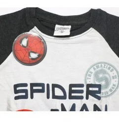 Marvel Spiderman Μακρυμάνικο μπλουζάκι για αγόρια (SP S 52 02 1242 grey)