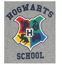 Harry Potter Παιδικό Μακρυμάνικο μπλουζάκι για αγόρια (VH1001 Grey)