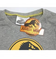 Jurassic World Μακρυμάνικο Μπλουζάκι Για Αγόρια (VH1199 grey)
