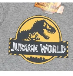 Jurassic World Μακρυμάνικο Μπλουζάκι Για Αγόρια (VH1199 grey) - Μπλουζάκια Μακρυμάνικα (μακό)