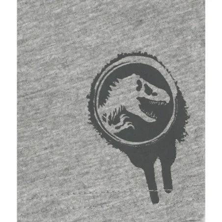 Jurassic World Μακρυμάνικο Μπλουζάκι Για Αγόρια (VH1199 grey)