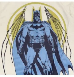 Batman μακρυμάνικο μπλουζάκι για αγόρια (VH1312 beige)
