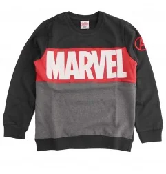 Marvel Avengers μπλούζα φούτερ για αγόρια ( AV 52 18 387) - Μπλούζες φούτερ