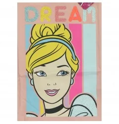 Disney Princess Μακρυμάνικο Μπλουζάκι Για Κορίτσια (DIS P 52 02 8028)