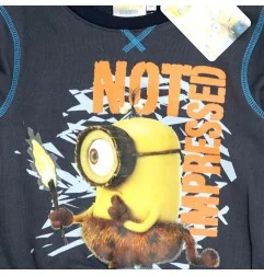 Minions Παιδική εποχιακή μπλούζα Φούτερ (PH1226A) - Μπλούζες φούτερ