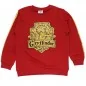Harry Potter Χειμωνιάτικη Μπλούζα Φούτερ για κορίτσια (HP 52 18 118 red)