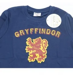 Harry Potter Χειμωνιάτικη Μπλούζα Φούτερ (HP 52 18 116 navy) - Μπλούζες φούτερ
