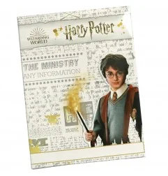 Harry Potter Βαμβακερή πιτζάμα για κορίτσια (VH2108 grey)