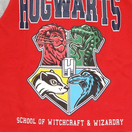 Harry Potter Βαμβακερή πιτζάμα για αγόρια (VH2094 grey) Harry Potter Βαμβακερή πιτζάμα για αγόρια (VH2094 grey)