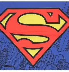 Superman Διακοσμητική Μαξιλαροθήκη 40x40εκ. (SUP8002)