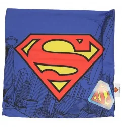 Superman Διακοσμητική Μαξιλαροθήκη 40x40εκ. (SUP8002) - Διακοσμητικές Μαξιλαροθήκες