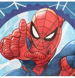 Spiderman Διακοσμητική Μαξιλαροθήκη 40x40εκ. (Spider-Man 044)