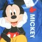 Disney Mickey Mouse πιτζάμα fleece coral για αγόρια (DIS MFB 52 04 9838 NI CORAL)