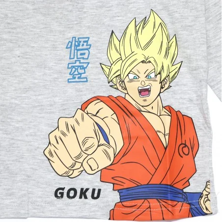 Dragon Ball Super Μακρυμάνικο Μπλουζάκι Για αγόρια (DB 52 02 007 grey)