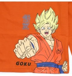 Dragon Ball Super Μακρυμάνικο Μπλουζάκι Για αγόρια (DB 52 02 007 orange) - Μπλουζάκια Μακρυμάνικα (μακό)